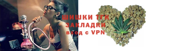 твердый Аркадак