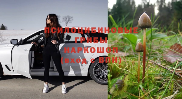 бошки Армянск