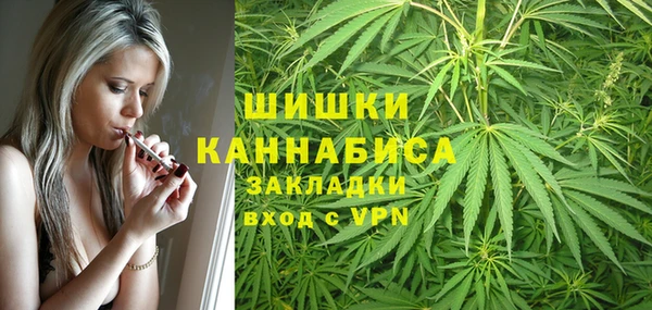 твердый Аркадак