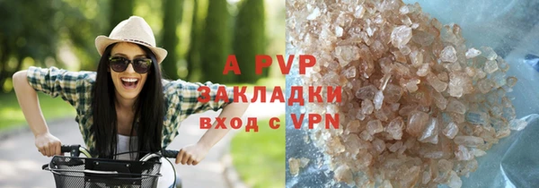твердый Аркадак