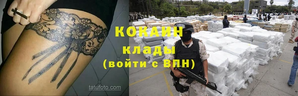 твердый Аркадак